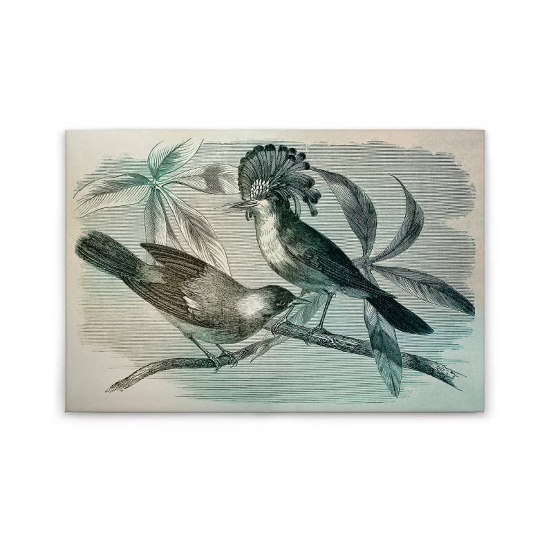 Leinwandbild Vögel M1-No.50121 | Wandbild 60 x 90 cm | Grün Blau Landhausstil Keilrahmen Natur von Tadessi