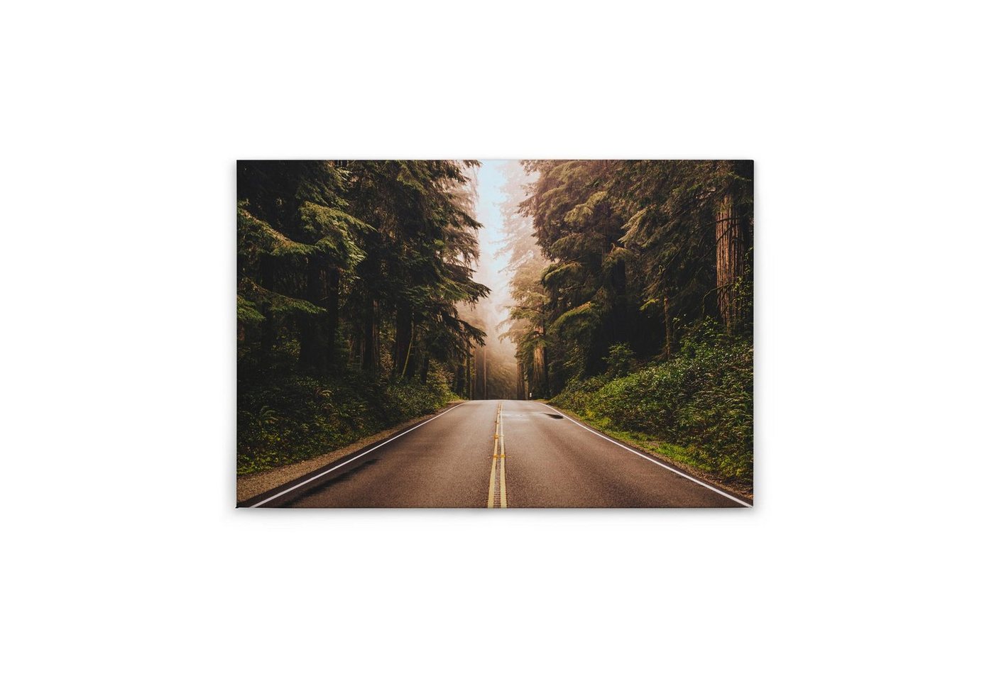 Tadessi Leinwandbild Bäume 60 x 90 cm Wald Straße Deko M1-No.50056 von Tadessi