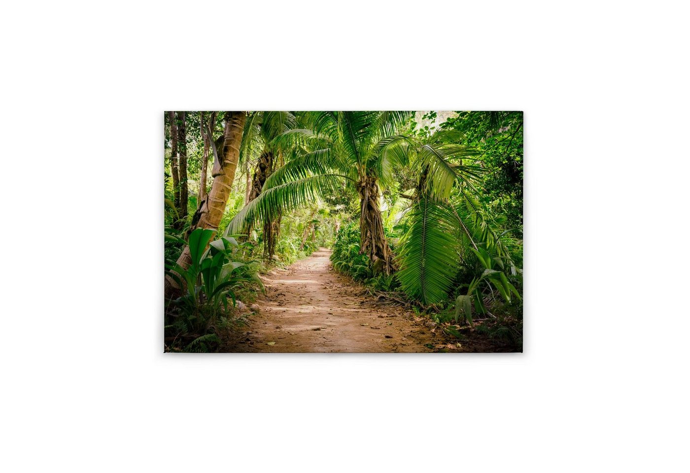 Tadessi Leinwandbild Urwald 60 x 90 cm Dschungel Wald M1-No.50055 von Tadessi