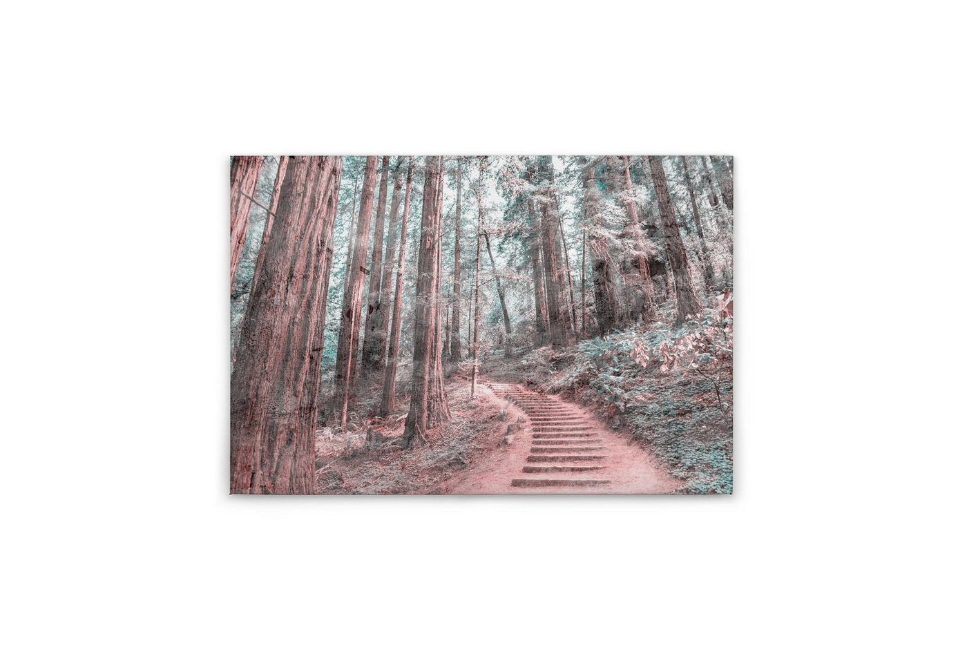 Tadessi Leinwandbild Bäume 60 x 90 cm Wald Pfad Deko Keilrahmen M1-No.50052 von Tadessi