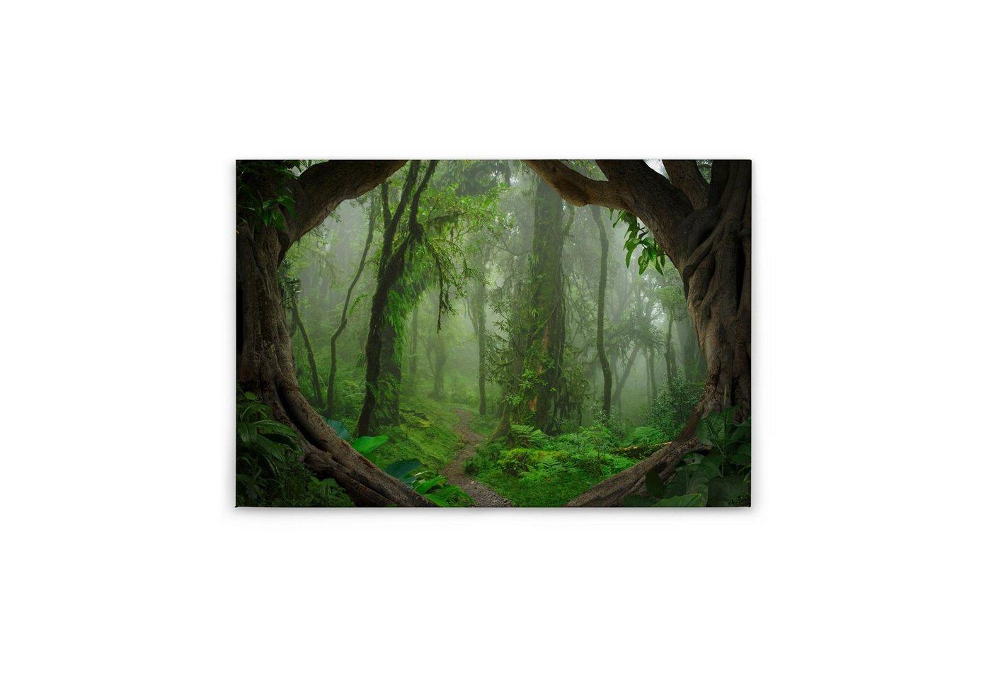 Tadessi Leinwandbild Urwald 60 x 90 cm Dschungel Wald M1-No.50054 von Tadessi
