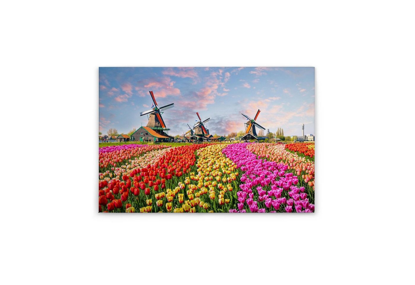 Tadessi Leinwandbild Blumen 60 x 90 cm Landschaft Floral M1-No.50081 von Tadessi