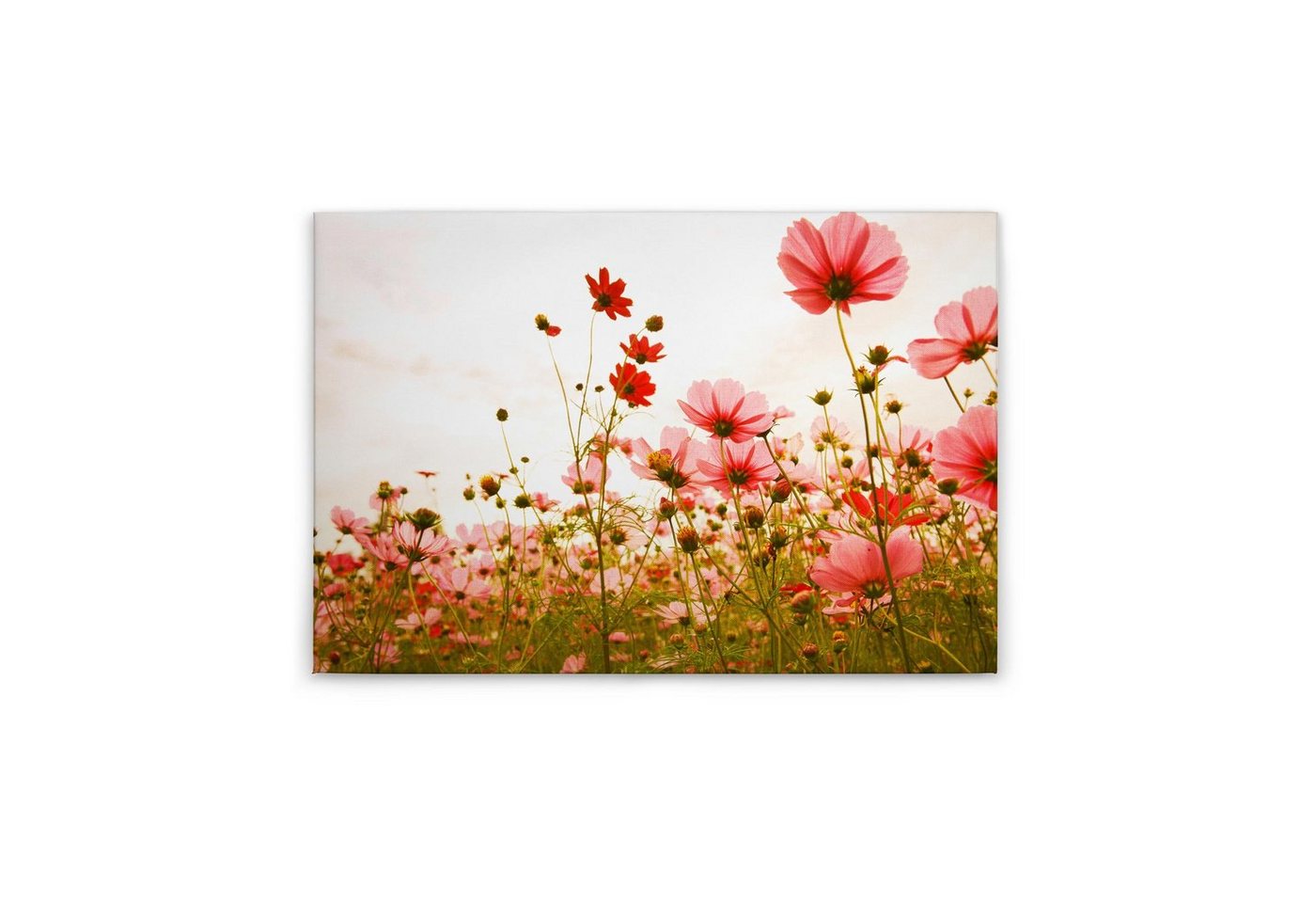 Tadessi Leinwandbild Blumen 60 x 90 cm Floral Natur Deko M1-No.50035 von Tadessi