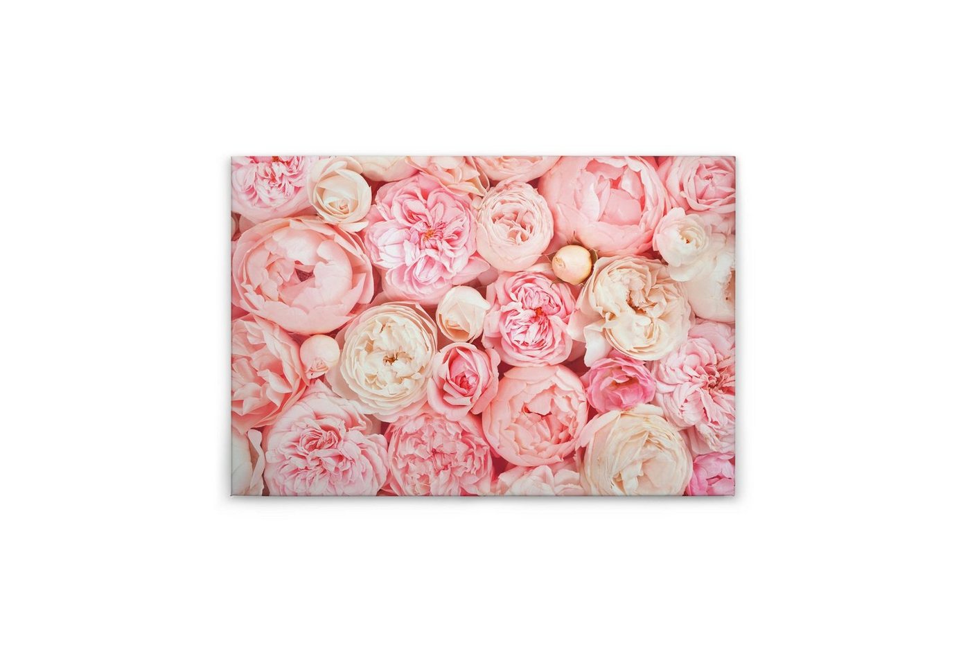 Tadessi Leinwandbild Blumen 60 x 90 cm Lein Floral Deko M1-No.50007 von Tadessi