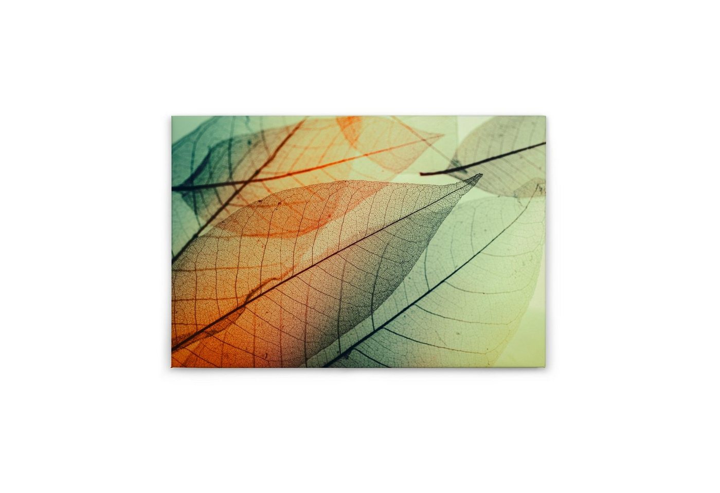 Tadessi Leinwandbild Blätter 60 x 90 cm Natur Lein Deko M1-No.50023 von Tadessi