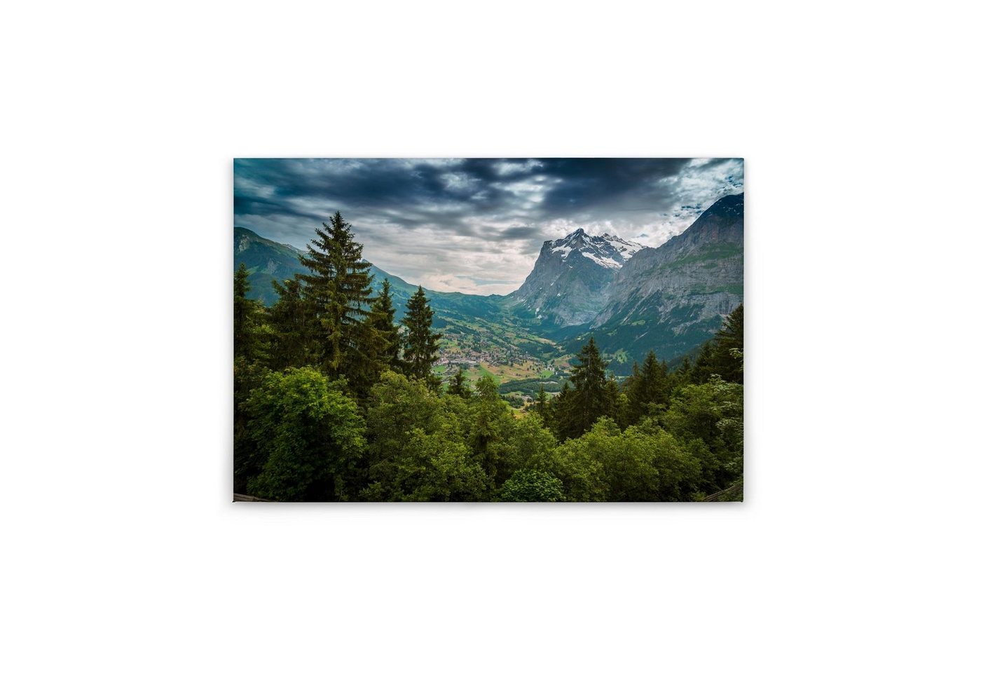 Tadessi Leinwandbild Bäume 60 x 90 cm Wald Landschaft M1-No.50048 von Tadessi