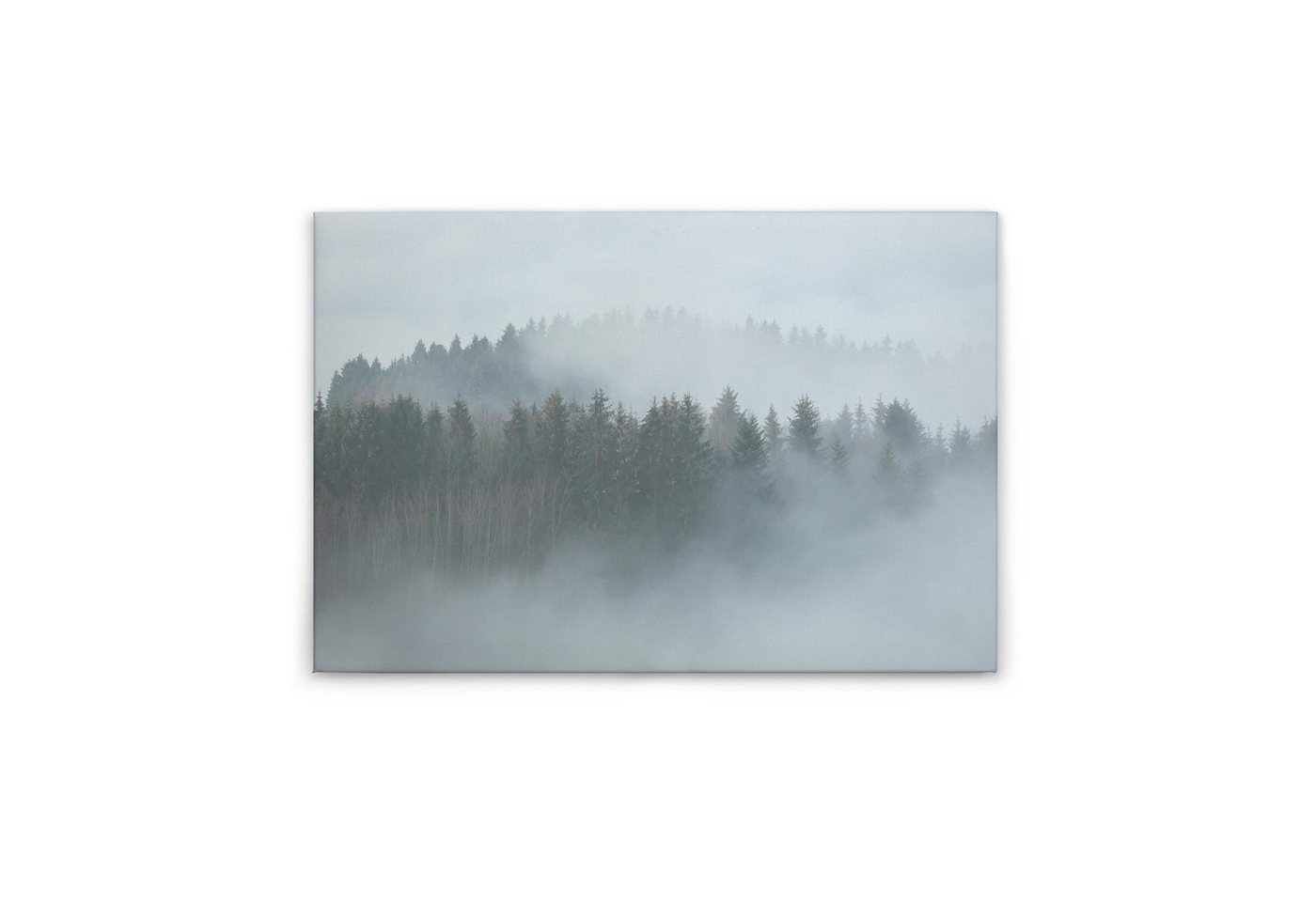 Tadessi Leinwandbild Bäume 60 x 90 cm Wald Nebel Deko Keilrahmen M1-No.50039 von Tadessi
