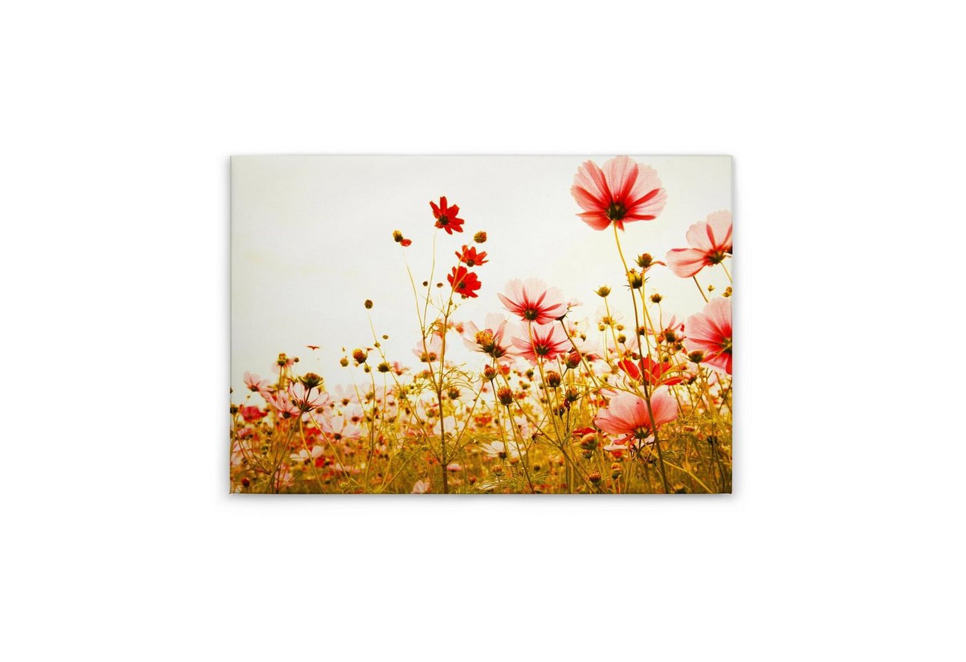 Tadessi Leinwandbild Blumen 60 x 90 cm Floral Natur Deko M1-No.50036 von Tadessi