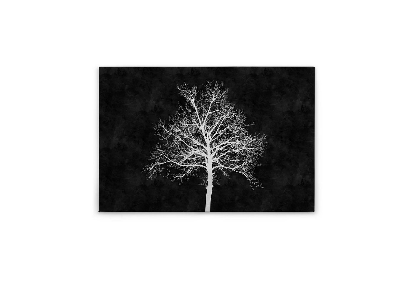 Tadessi Leinwandbild Bäume 60 x 90 cm Wald Baum Deko Keilrahmen M1-No.50104 von Tadessi