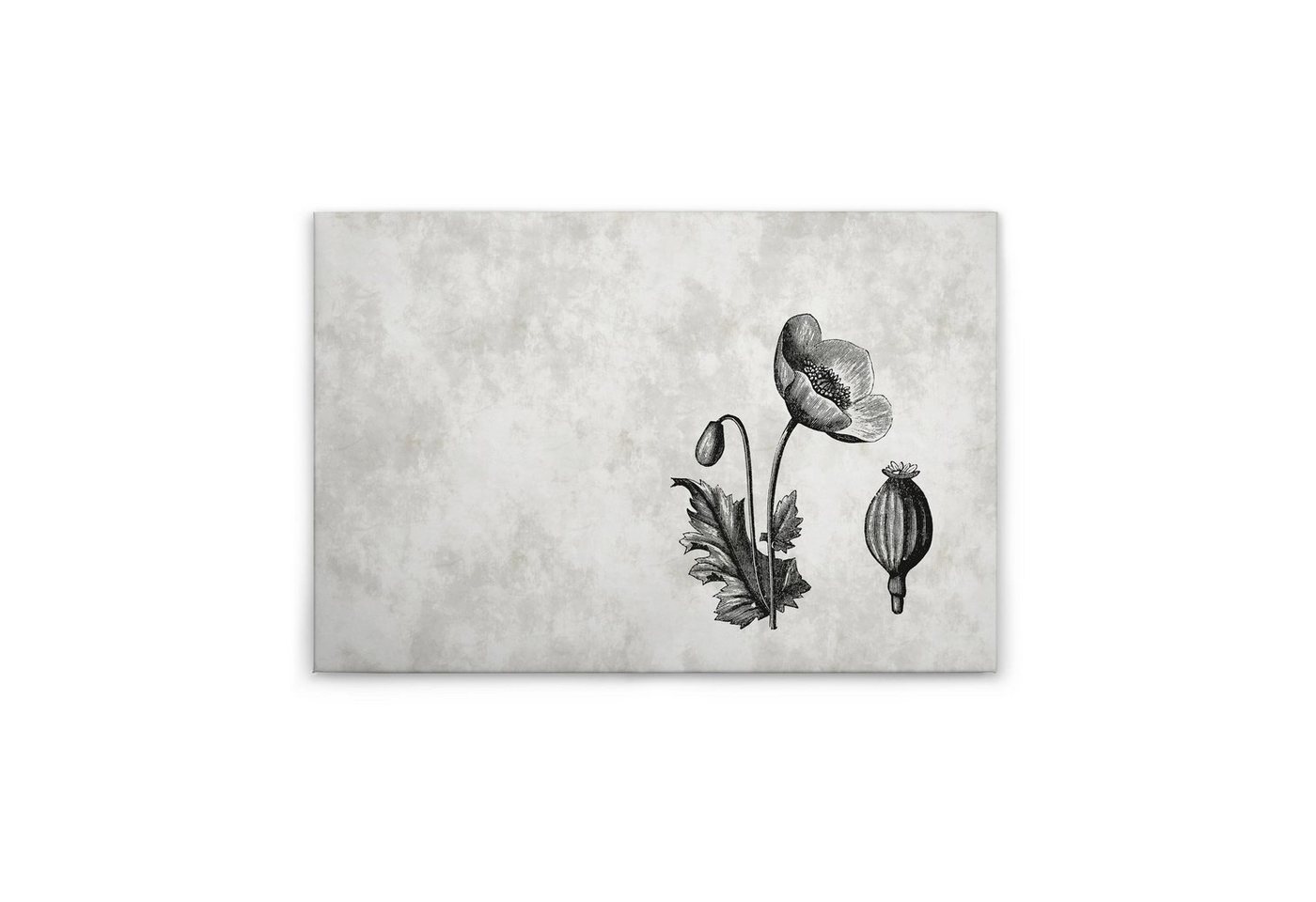 Tadessi Leinwandbild Blumen 60 x 90 cm Schwarz Landhausstil M1-No.50114 von Tadessi