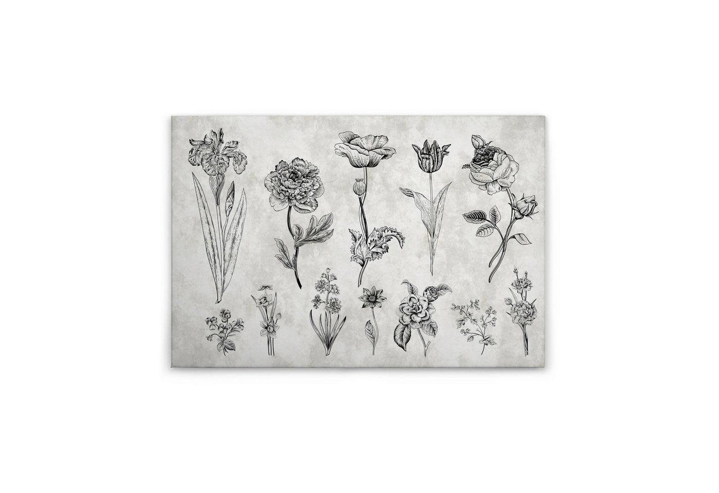 Tadessi Leinwandbild Blumen 60 x 90 cm Schwarz Landhausstil M1-No.50110 von Tadessi