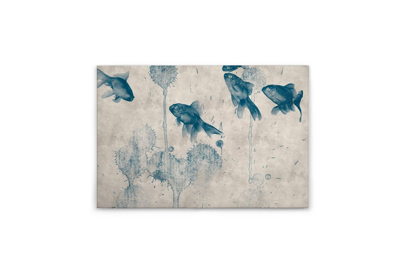 Tadessi Leinwandbild Fisch 60 x 90 cm Tiere Natur Deko M1-No.50150 von Tadessi