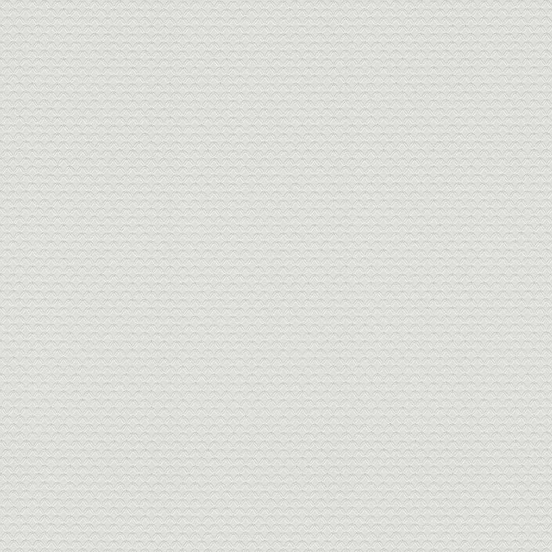 Tadessi Tapete Uni M1 No 2767 Vliestapete Grau Tapete Einfarbig Unitapete von Tadessi