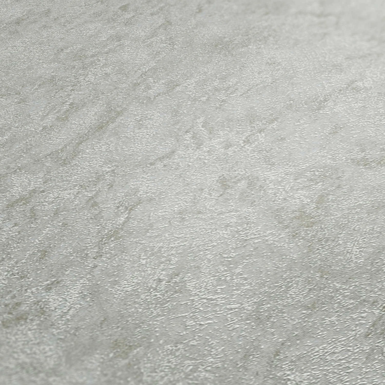 Tadessi Tapete Uni M1 No 3547 Vliestapete Grau Tapete Einfarbig Unitapete von Tadessi