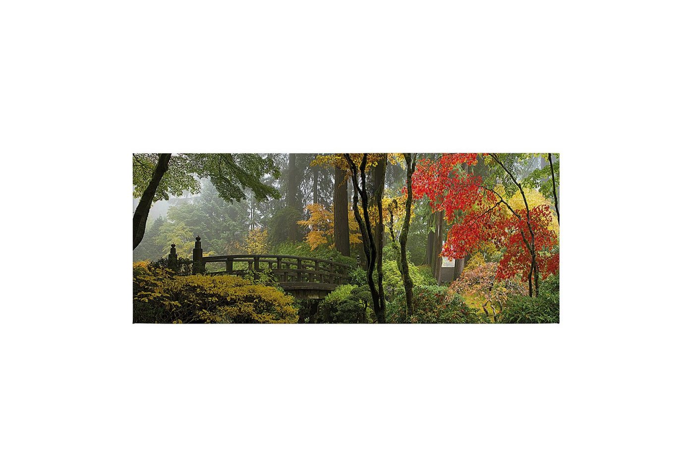 Tadessi Leinwandbild Bäume 40 x 100 cm Blätter Laubwald M1-No.50446 von Tadessi