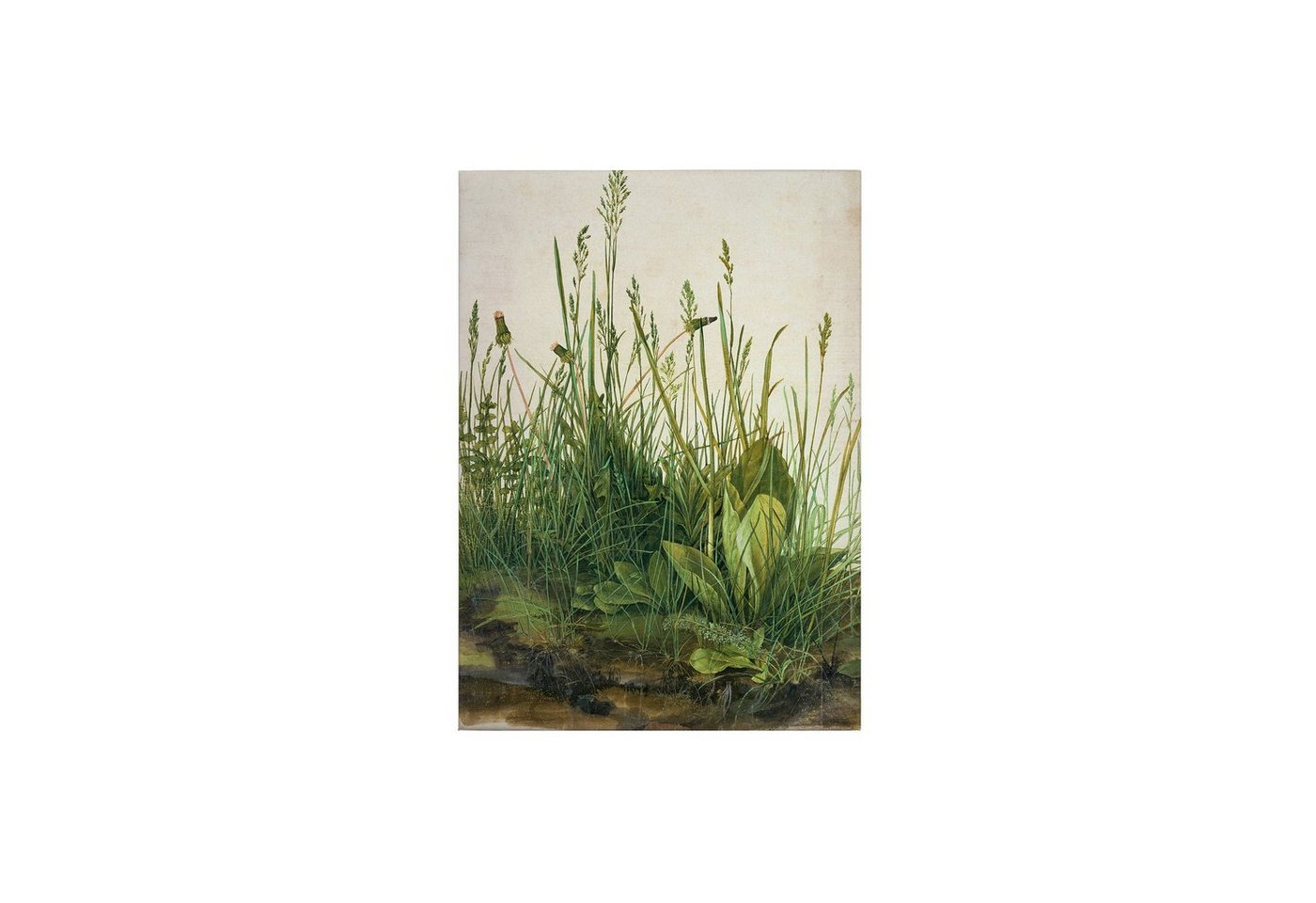 Tadessi Leinwandbild Blumen 70 x 50 cm Floral Gräser Wandgemälde M1-No.50394 von Tadessi