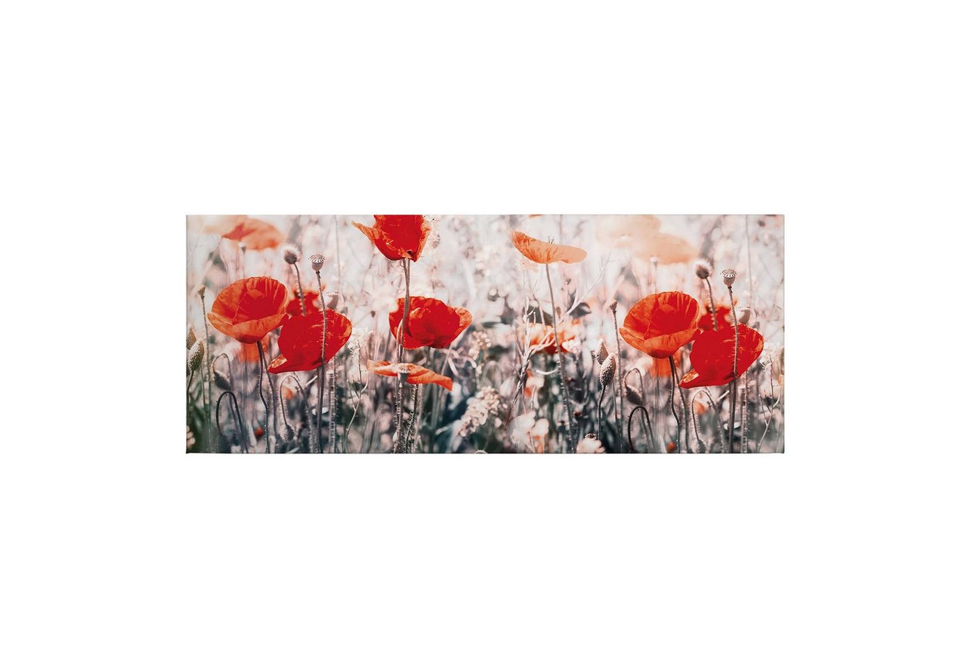 Tadessi Leinwandbild Blumen 40 x 100 cm Floral Natur Deko M1-No.50462 von Tadessi