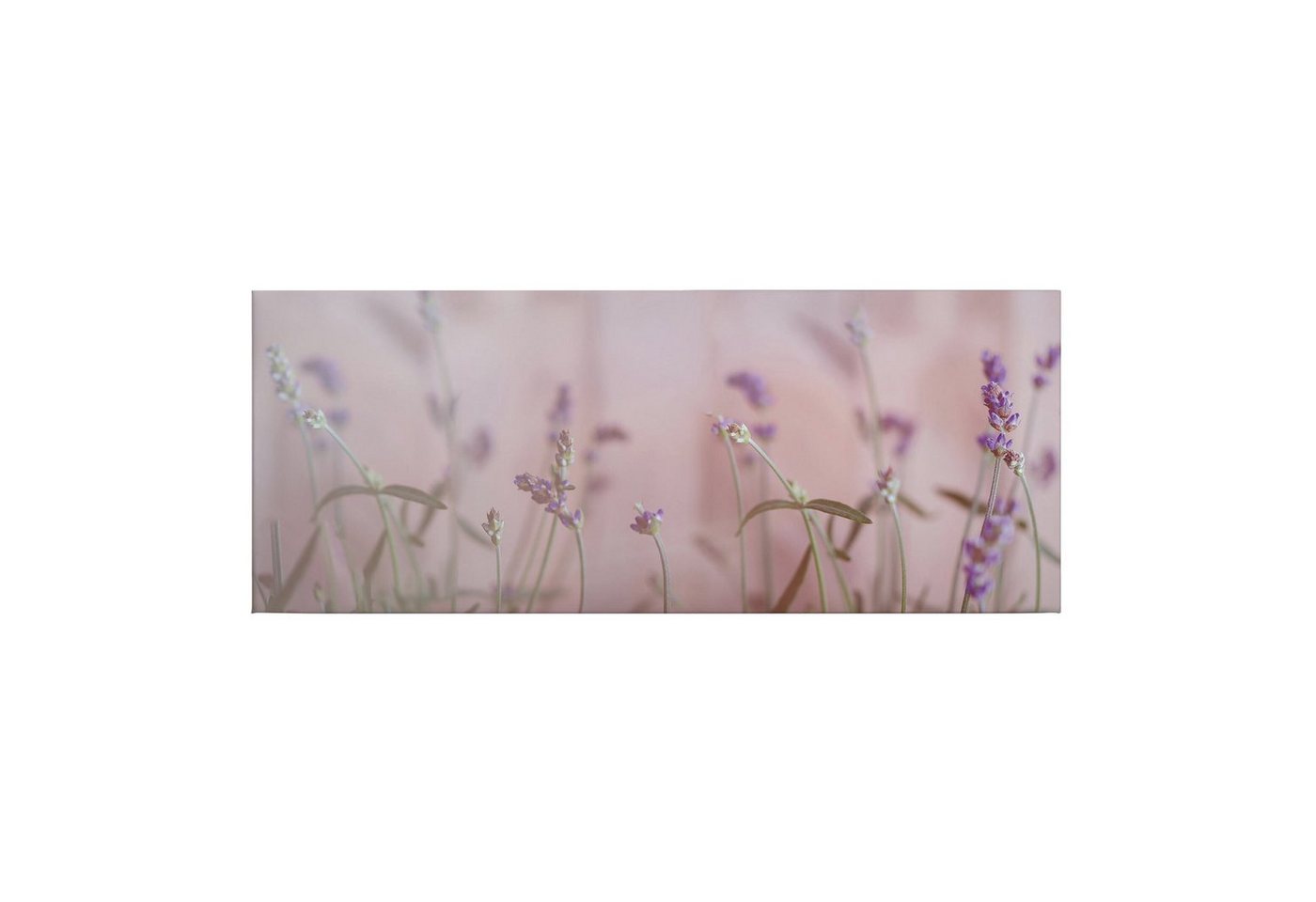 Tadessi Leinwandbild Blumen 40 x 100 cm Floral Lavendel M1-No.50463 von Tadessi