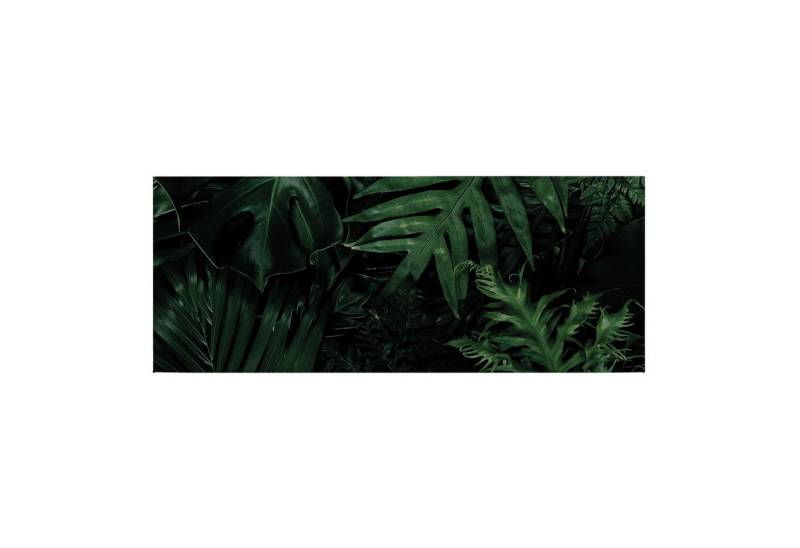 Tadessi Leinwandbild Botanical 40 x 100 cm Dschungel Pflanzen M1-No.50467 von Tadessi