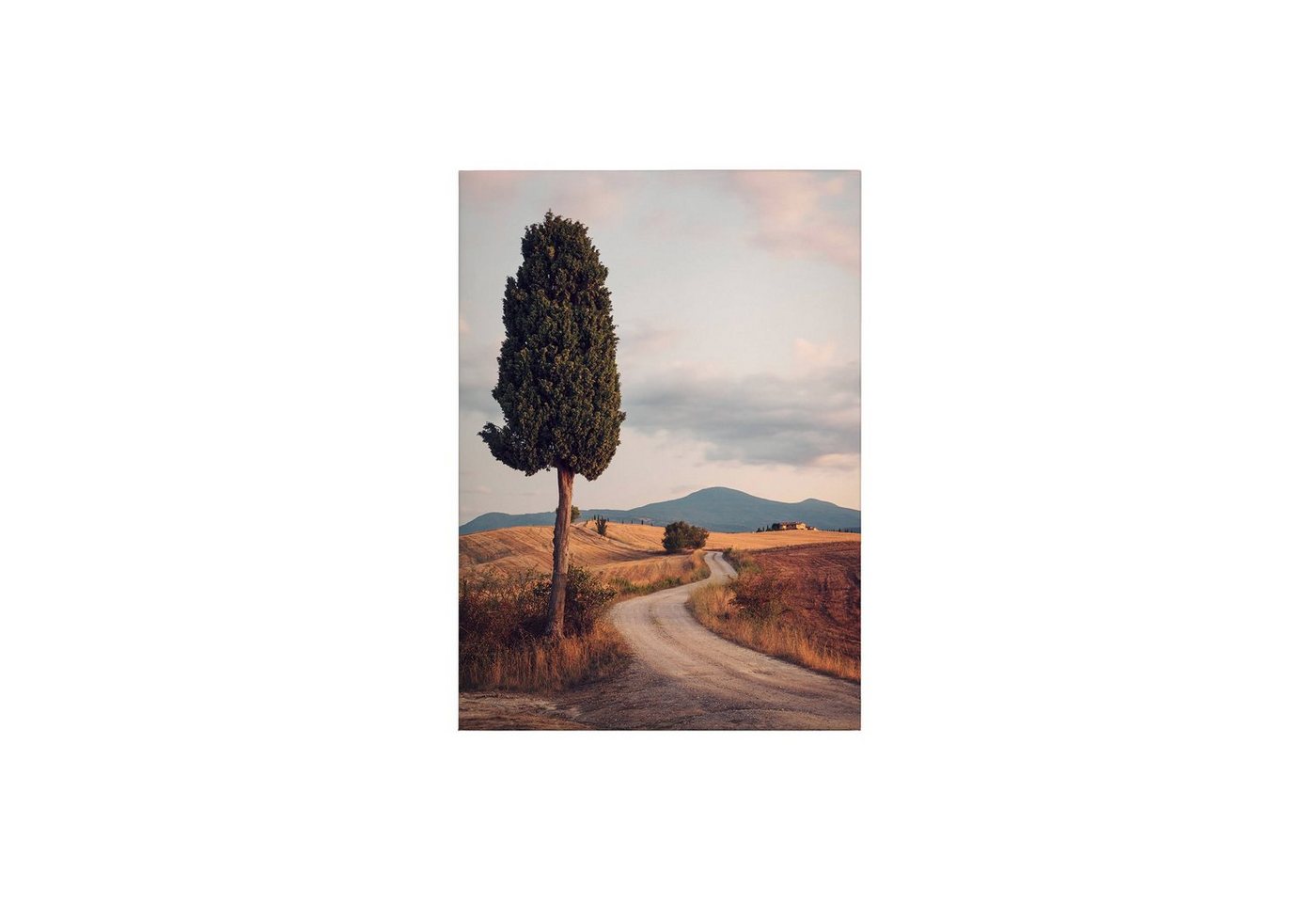 Tadessi Leinwandbild Landschaften 70 x 70 cm Natur Deko M1-No.50364 von Tadessi