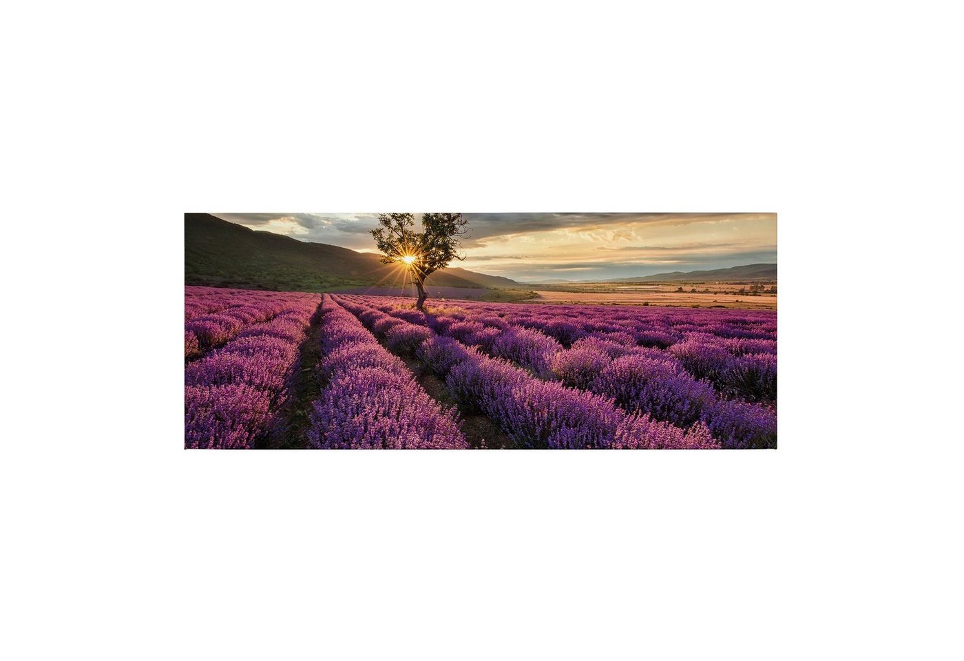 Tadessi Leinwandbild Landschaften 40 x 100 cm Natur Lavendelfeld M1-No.50448 von Tadessi