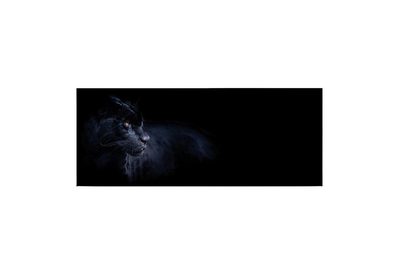 Tadessi Leinwandbild Tiere 40 x 100 cm Panther Wanddeko M1-No.50469 von Tadessi