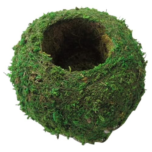 Tadoiooy Blumentöpfe, Mooskugel, 6 Zoll Natural Planter Bonsai Moos Kokedama Blumentopf Grüne Bonsai Pflanzenhalter für DIY -Gartenpflanzung Home Tischdekoration Tadoiooy Blumentöpfe, Mooskugel, 6 Zoll Natural Planter Bonsai Moos Kokedama Blumentopf Grüne Bonsai Pflanzenhalter für DIY -Gartenpflanzung Home Tischdekoration von Tadoiooy