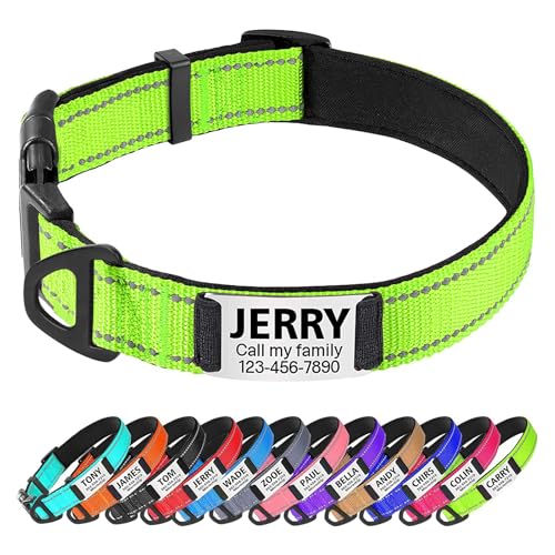 TagME Hundehalsband personalisiert, Reflektierendes gepolstertes Nylon Hundehalsband für mittelgroße Hunde mit Namen und Telefonnummer von TagME
