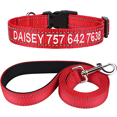 TagME Hundehalsband und Leine, Personalisierbar Reflektierendes Hundehalsband Mit 1.5M Doppelseitige Reflektierende Hundeleine für Kleine, Rot von TagME