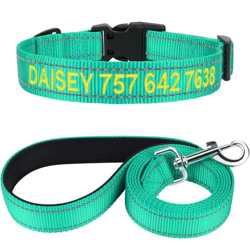 TagME Hundehalsband und Leine, Personalisierbar Reflektierendes Hundehalsband Mit 1.5M Doppelseitige Reflektierende Hundeleine für Kleine, Türkis von TagME