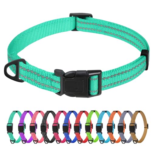TagME Nylon Hundehalsband, Verstellbares Reflektierendes Hundehalsband mit Sicherheitsschnalle für Extra Kleine Hund, Türkis, 1.5cm Breite von TagME