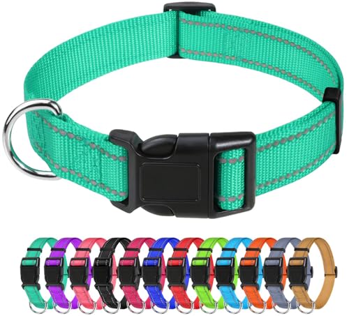 TagME Nylon Hundehalsband, Verstellbares Reflektierendes Hundehalsband mit Sicherheitsschnalle für Große Hunde, Türkis, 2.5cm Breite von TagME