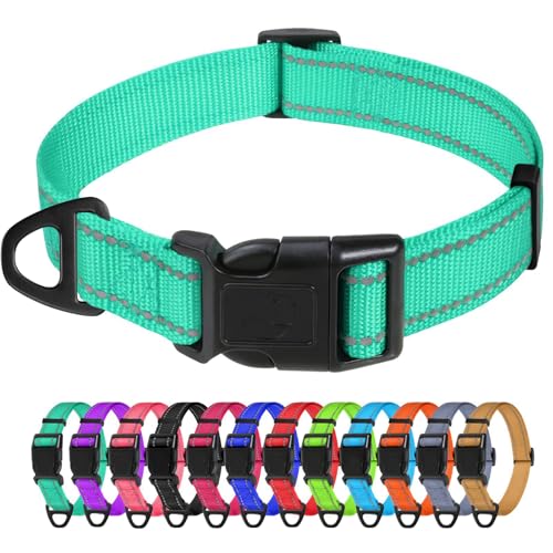 TagME Nylon Hundehalsband, Verstellbares Reflektierendes Hundehalsband mit Sicherheitsschnalle für Mittlere Hund, Türkis, 2.5cm Breite von TagME