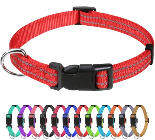 TagME Nylon Hundehalsband, Verstellbares Reflektierendes Hundehalsband mit Sicherheitsschnalle für Welpen, Rot, 1.0cm Breite von TagME