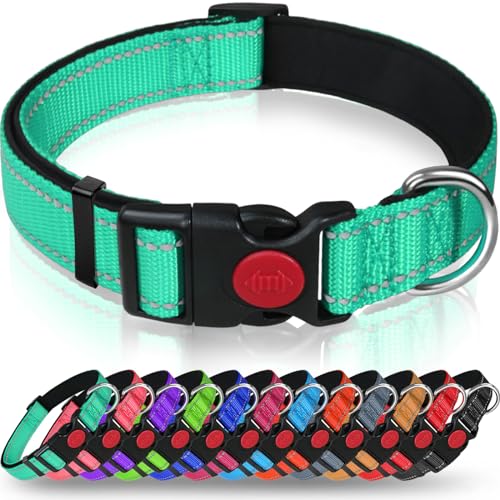 Taglory Hundehalsband, Weich Gepolstertes Neopren Nylon Hunde Halsband für Große Hunde, Verstellbare und Reflektierend für das Training, Türkis von Taglory