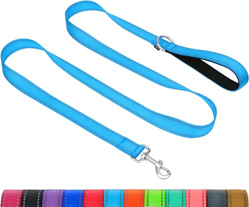 Taglory Hundeleine Kleine Hunde Leicht | Doppelseitig Reflektierend | Gepolsterter Griff | Bis zu 10 kg | 1.2m x 2cm | Himmelblau von Taglory