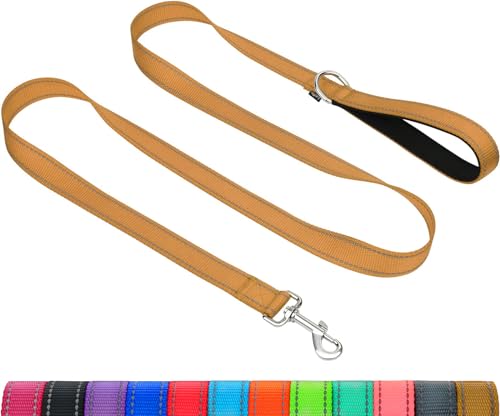 Taglory Hundeleine Mittelgroße Große Hunde Leicht | Doppelseitig Reflektierend | Gepolsterter Griff | Unterstützung 10 bis 75 kg | 1.2m x 2.5cm | Braun von Taglory