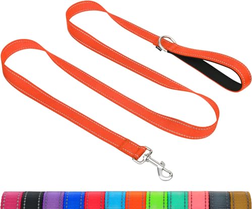 Taglory Hundeleine Mittelgroße Große Hunde Leicht | Doppelseitig Reflektierend | Gepolsterter Griff | Unterstützung 10 bis 75 kg | 1.2m x 2.5cm | Orange Taglory Hundeleine Mittelgroße Große Hunde Leicht | Doppelseitig Reflektierend | Gepolsterter Griff | Unterstützung 10 bis 75 kg | 1.2m x 2.5cm | Orange von Taglory