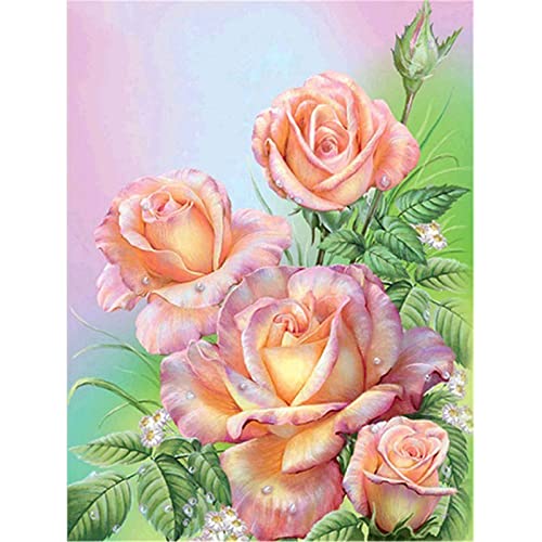 Diamond Painting Set,Rosa Rosenblüte Diamant Painting Bilder 5D Erwachsene/Kinder Stickerei Kreuzstich Mosaik Gemälde DIY Diamant Malerei Kits Vollbohrer,für Home Wall Décor Round Drill,40x50cm von Tainrun