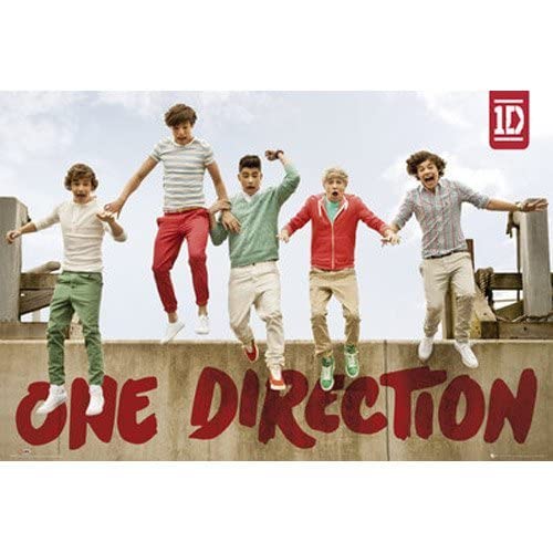 One Direction Poster Salto, 11 x 17 Zoll, 28 x 43 cm von Tainsi