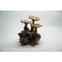 Pilze Holz, Handgeschnitzt, Personalisierte Statue, Geschenk von TaksuGalleryUbud