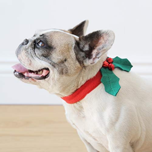 Talking Tables 1x Hundehalsband weihnachtlich Verkleidung Zubehör Blattdesign Klettverschluss mittelgroßer Hund 23cm rot grün von Talking Tables