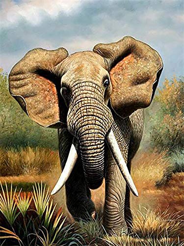 Tamseen DIY Diamond Painting Elefant, 5D Diamant Painting Bilder Erwachsene Tiere, Diamant Painting Bilder Kinder Kunst Strass Stickerei Sets, für Home Wanddekoration 30X40 cm von Tamseen