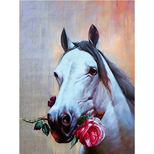 Tamseen DIY Diamond Painting Weißes Pferd Rose, 5D Diamant Painting Bilder Erwachsene Tiere, Diamant Painting Bilder Kinder Kunst Strass Stickerei Sets, für Home Wanddekoration 30X40 cm von Tamseen