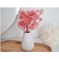 Konservierter Trockenblumenstrauß Schleierkraut Rosa/Pink Mit Keramikvase - Geschenk Hochzeitsdekoration von Tanafleur