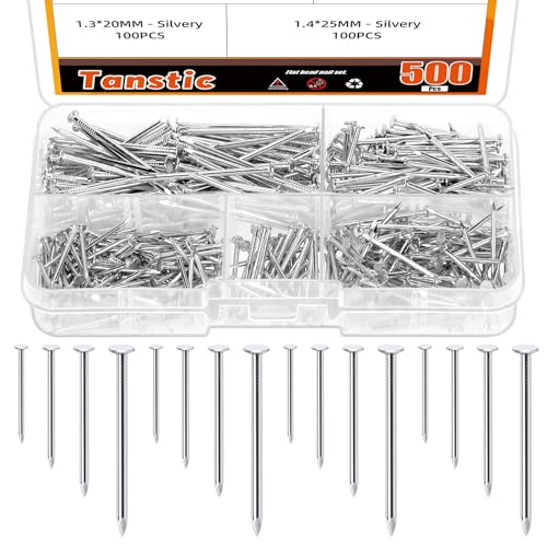 Tanstic 500Pcs 4 Größen Hardware Nägel Sortiment Kit Finishing Nägel Nägel für hängende Bilder Kleine Nägel Wand Nägel für Bild hängen Holzbearbeitung (Silber) von Tanstic