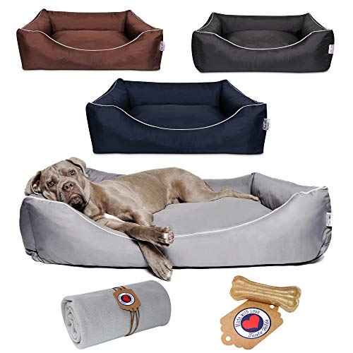 Tante Hilde Hundebett Wangerooge Set inkl. Kuscheldecke, Hundekorb, Hundekissen, Waschbar, Robust, Größenauswahl, Hochwertige Qualität! (XXL 100 x 80 cm, Set Grau z.B. Münsterländer, Retriever) von Tante Hilde Aus Liebe zum Tier.