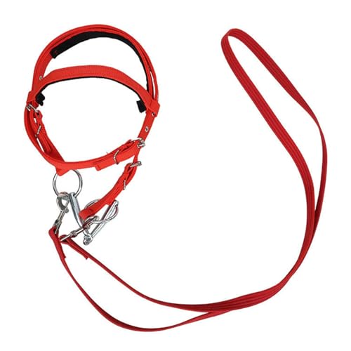 Rutschhemmende Zügel für Pferde, Pferdegeschirr aus Nylon für Pferde, Geschirr für Reiten, Sicherheitsreferenz, Befestigung für das Training von Tanxemery