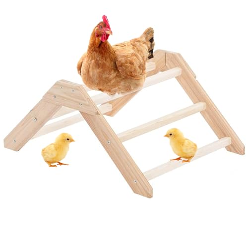 Sitzstange für Sitzstange – Trainingsstange aus Holz für Küken – Multifunktions-Halterung für Geflügel Papagei Spatz Hamster Nagetiere von Tanxemery