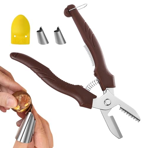 Werkzeug zum Knacken von Kastanien, Nussknacker-Entferner – Set mit tragbaren Nuss-Clips aus Edelstahl, sichere und effiziente Küchenutensilien für Kastanien, Nüsse, Mandeln von Tanxemery